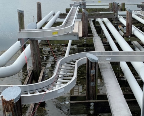 Pipes over a swampy pond
